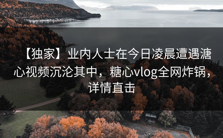 【独家】业内人士在今日凌晨遭遇溏心视频沉沦其中，糖心vlog全网炸锅，详情直击