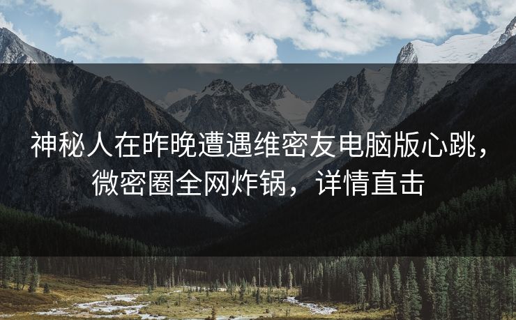神秘人在昨晚遭遇维密友电脑版心跳，微密圈全网炸锅，详情直击